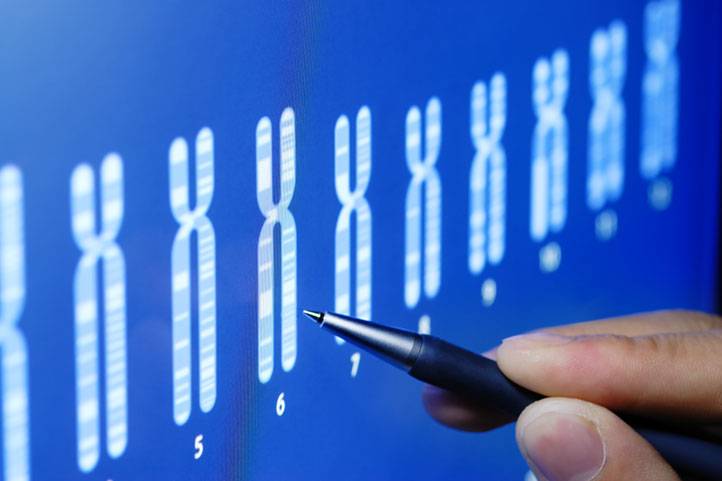 Análise Genética Embriões